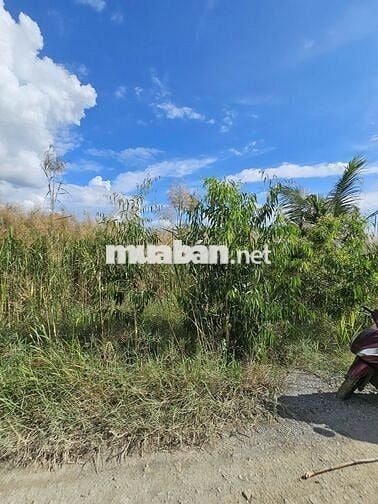 THỦ THỪA - QLN2 Đất Thổ Cư 166,6m2