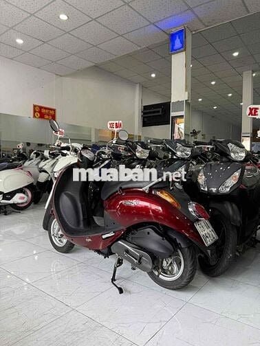 ELITE 50-2020. Zin Cọp. Odo 11k. Chủ Rạch Giá