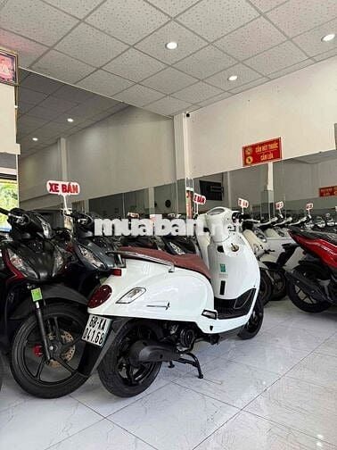 ATTILA 50cc - 2020 Xe Zin Êm Đẹp - BS 68