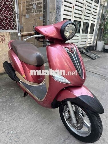 nozza Fi 2013. Màu hồng. BSTP chính chủ công chứng