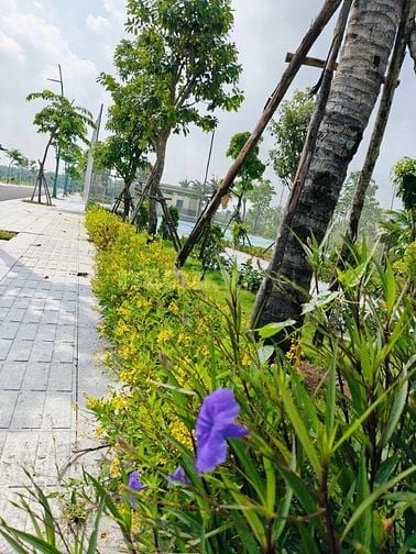 BÁN ĐẤT NỀN AGORA CITY NGAY TRUNG TÂM HÀNH CHÍNH THỦ THỪA