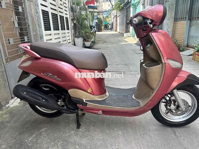 nozza Fi 2013. Màu hồng. BSTP chính chủ công chứng