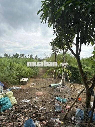 Nhà Vườn 2000m2 thổ cư shr đường ôtô quay đầu