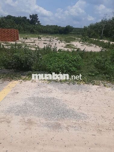 Đất nền Chơn Thành giá siêu rẻ