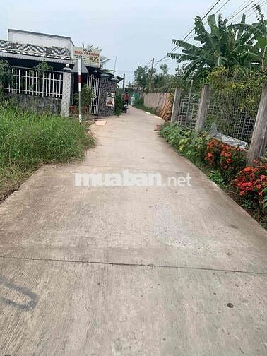 bán đất nền đường xe hơi xã gò công đông