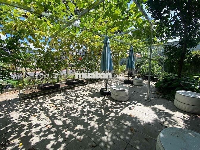 chính chủ bán 83,5m mặt tiền đường nhựa Võ Thị Sáu full thổ cư tp.hcm