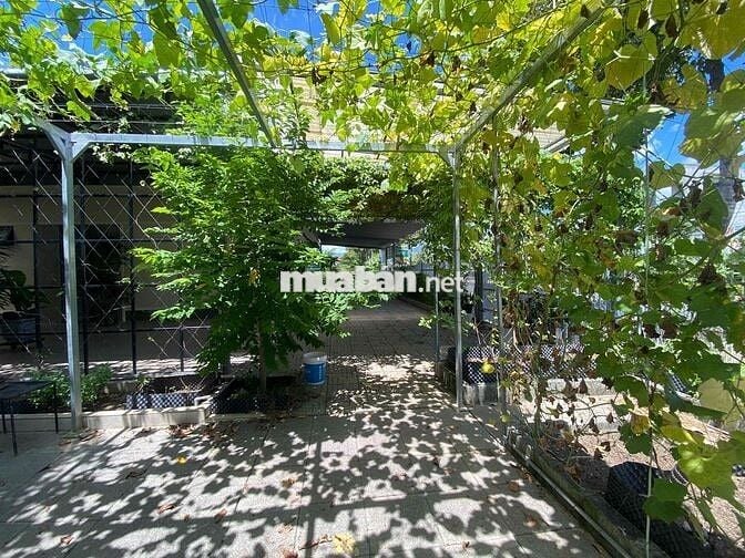 chính chủ bán 83,5m mặt tiền đường nhựa Võ Thị Sáu full thổ cư tp.hcm