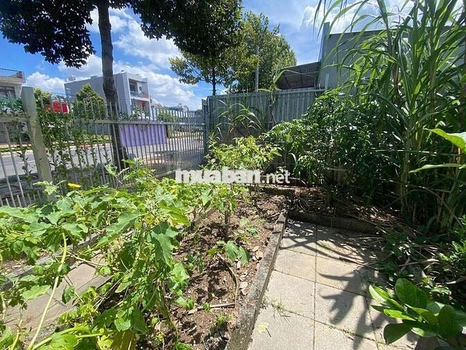 chính chủ bán 83,5m mặt tiền đường nhựa Võ Thị Sáu full thổ cư tp.hcm