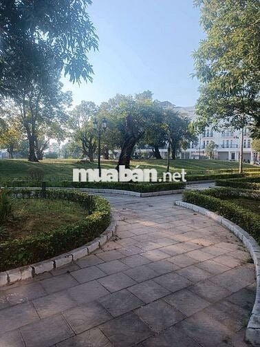 Biệt thự Luois Đại Mỗ -  view Công Viên-  nguyên bản -- nhỉnh 30 tỷ