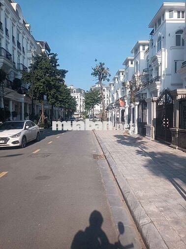 Biệt thự Luois Đại Mỗ -  view Công Viên-  nguyên bản -- nhỉnh 30 tỷ