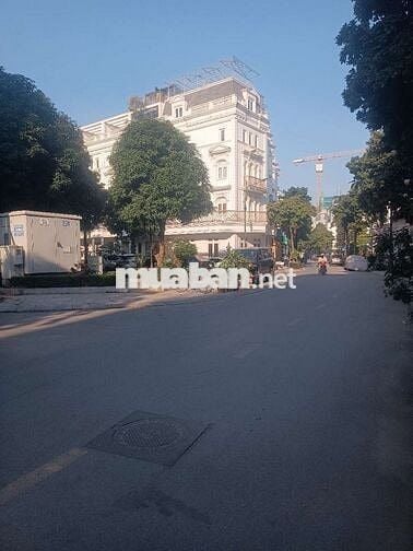 Biệt thự Luois Đại Mỗ -  view Công Viên-  nguyên bản -- nhỉnh 30 tỷ