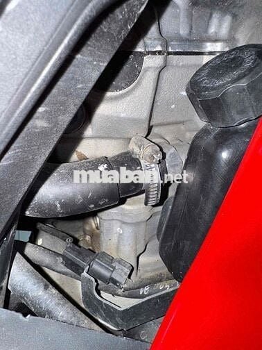 ✅SONIC 2019 ĐẸP ZIN LENG KENG 👍