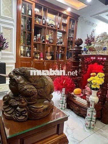 Nha biet thu go xoai . Hem rong 10