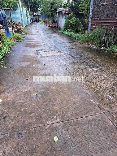 LÔ ĐẤT ĐẸP ĐƯỜNG THÔNG 5M NGANG LỚN 4,8X15 PHAN VĂN HỚN BÀ ĐIỂM