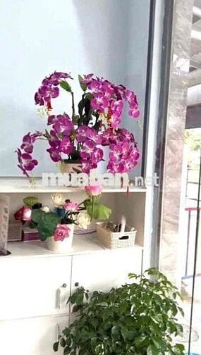 CẦN BÁN GẤP MT KINH DOANH DĨ AN