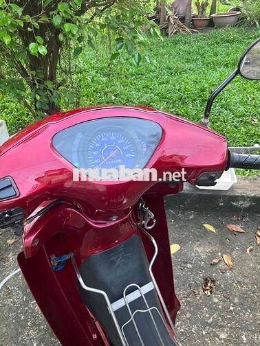 Future1 2001 như hình