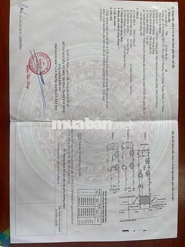 Chính chủ bán nhà có 17 phòng trọ đều đặn 50 triệu/tháng giá 17 tỷ