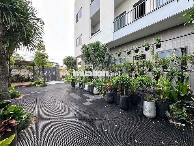 Cho thuê một căn phòng duplex giá siêu tốt phòng siêu đẹp ở bình thành