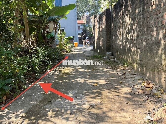 Đất vàng Mê Linh. Cách chợ, sân bóng Chi Đông 80m. Tiện ích bạt ngàn.