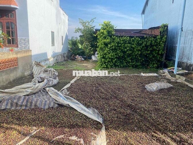 🔥 BÁN GẤP LÔ ĐẤT LỘC THÀNH – GẦN ĐÈO SĂN MÂY | GIÁ CHỈ 820TR