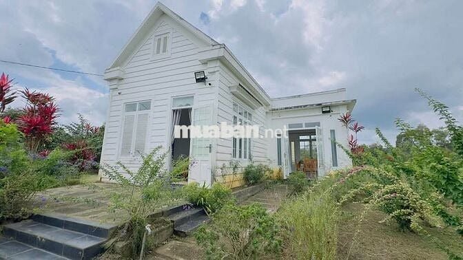 Homestay nhà vườn DT 7317,6m2 (37x137m) sẵn 200m thổ cư - đường oto