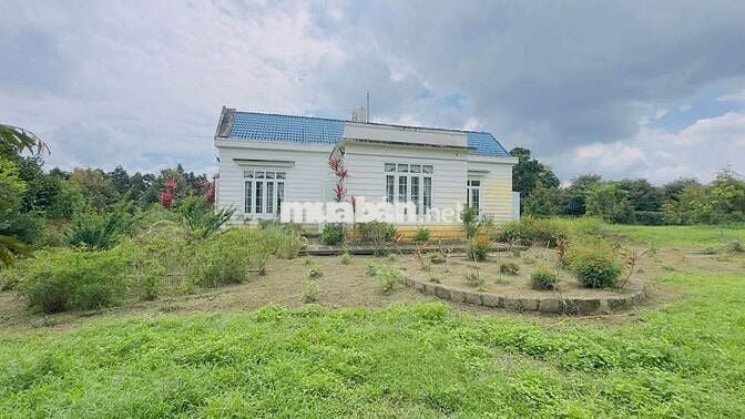 Homestay nhà vườn DT 7317,6m2 (37x137m) sẵn 200m thổ cư - đường oto