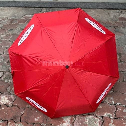 Sản Xuất Dù Cầm Tay, Ô Dù Cầm Tay, Ô dù cầm tay gấp 3 tại hcm