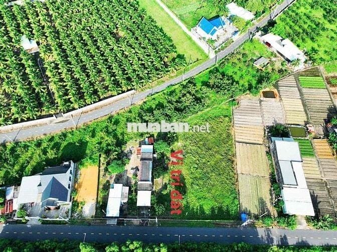 THỊ TRẤN PHƯỚC HẢI - GẦN BIỂN - KHU DÂN CƯ ĐÔNG ĐÚC