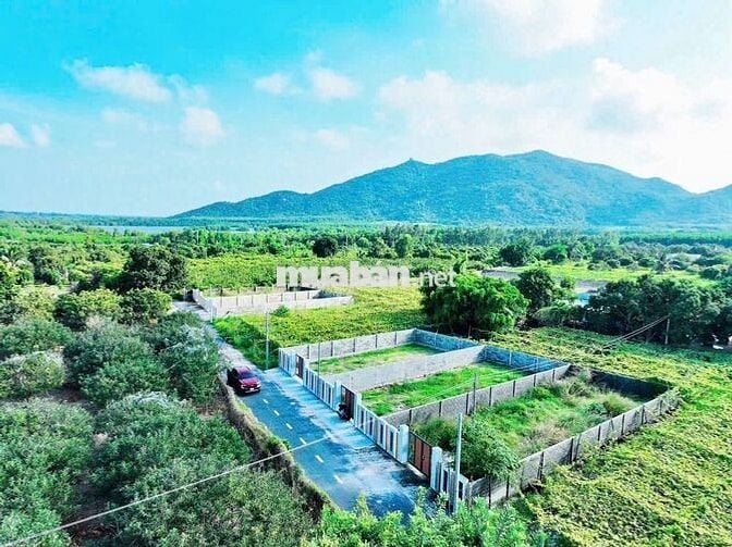 🌊 HOT – ĐẤT ĐẸP THỊ TRẤN PHƯỚC HẢI NGAY HỒ SƠ BÔNG GIÁ 1TY280