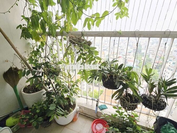 Siêu Phẩm Bộ Công An Ngọc Thụy 92m²–3 ngủ–View sông đẹp–Giá hơn 5 tỷ