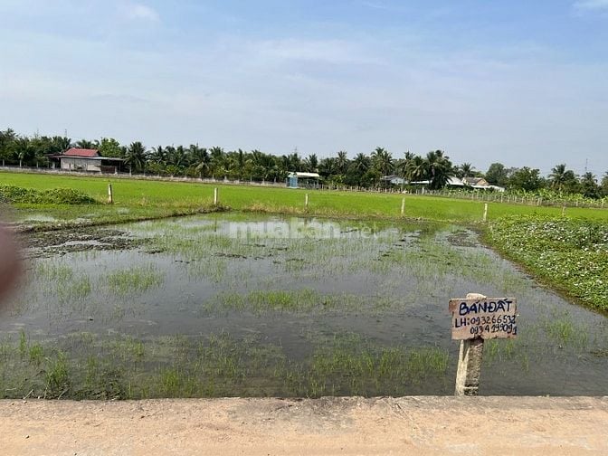 Cần bán 3 thửa đất chính chủ full thổ cư.