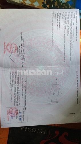 Cần bán 3 thửa đất chính chủ full thổ cư.