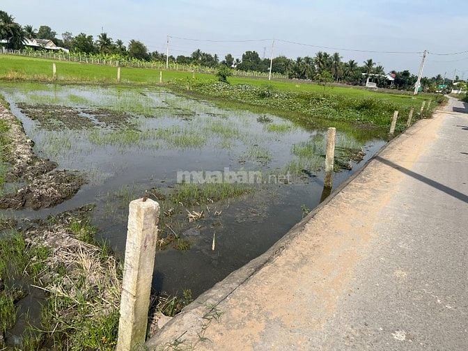 Cần bán 3 thửa đất chính chủ full thổ cư.