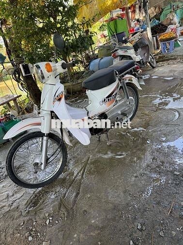 Honda Siêu cúp 50cc màu Trắng