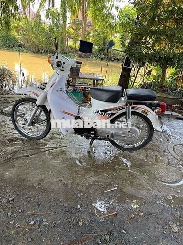 Honda Siêu cúp 50cc màu Trắng