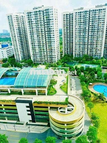 🏡 BÁN CĂN HỘ TOÀ S2.06 – VINHOMES OCEAN PARK