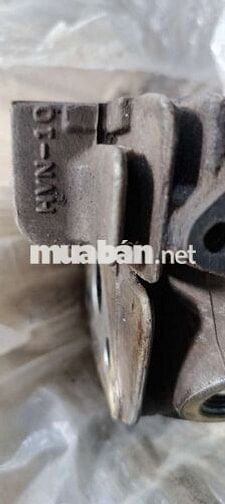 Đầu bò Super Dream