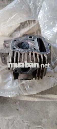 Đầu bò Super Dream