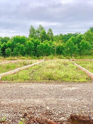 Đất chính chủ cần bán 5x25m thổ cư 100% giá 800 triệu/nền sổ hồng riên