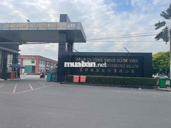 Đất nền An Viễn (xã Đồi cũ) 850 triệu 100m2 1 sẹc ĐT 777 sổ riêng thổ