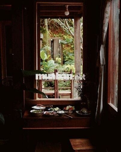 CẦN SANG HOMESTAY NHÀ GỖ SIÊU CHILL ĐÀ LẠT – ĐƯỜNG CAO BÁ QUÁT, P7