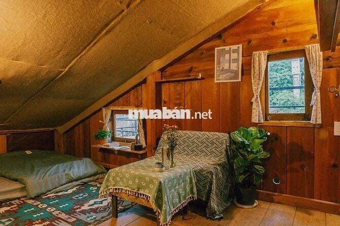 CẦN SANG HOMESTAY NHÀ GỖ SIÊU CHILL ĐÀ LẠT – ĐƯỜNG CAO BÁ QUÁT, P7