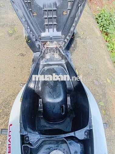 Yamaha Luvias GTX Trắng