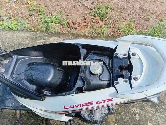 Yamaha Luvias GTX Trắng