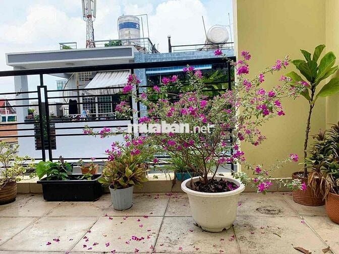 Tìm bạn nhân viên văn phòng ở ghép Hoà Hưng, quận 10