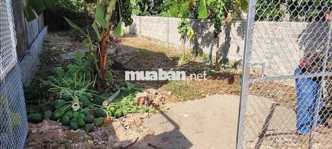 CHÍNH CHỦ BÁN ĐẤT THỔ CƯ SẴN SỔ TRUNG TÂM CHƯƠNG MỸ