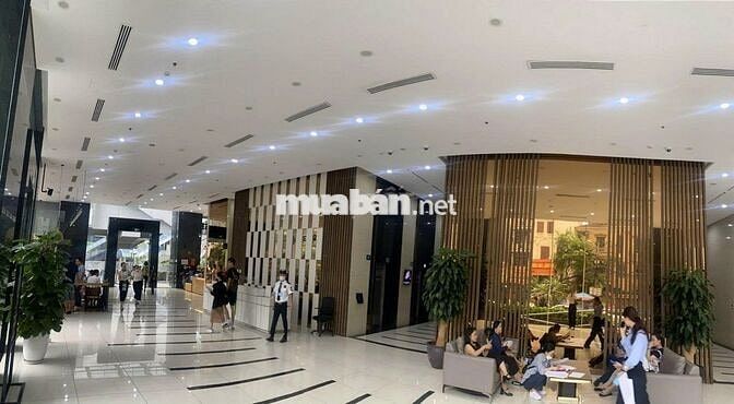 Cho thuê SÀN VĂN PHÒNG – Discovery Complex, 302 Cầu Giấy