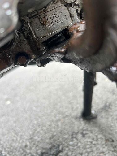 DD đỏ giấy tờ đầy đủ cho mọi người dùng.