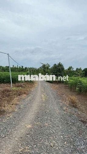 2 lô đất giá tốt,có sẵn thổ cư: 362 m2 +100m2 ONT và 932 m2 +100m2 ONT