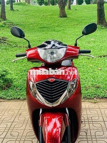 sh ý 2008 Fi ngay chủ ký